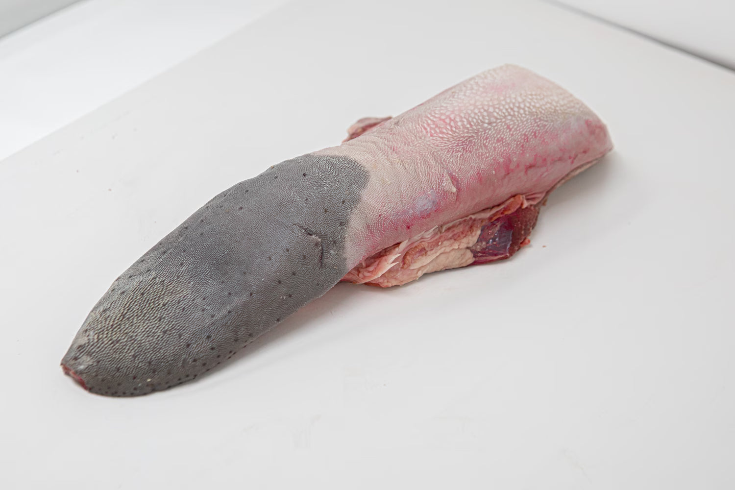 Beef Tongue | Kosher | F1 American Wagyu Beef