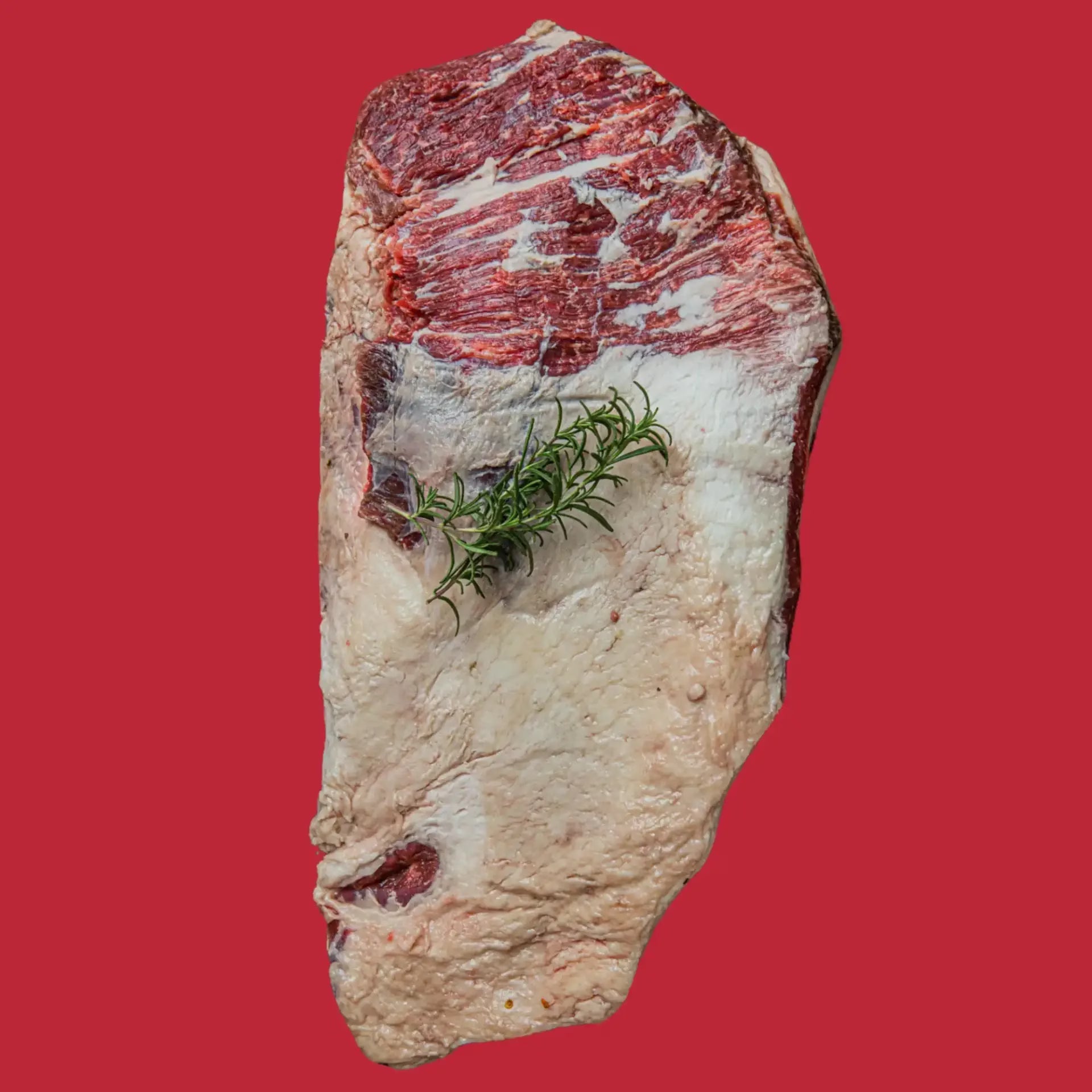 Whole Brisket | Kosher |  American Wagyu Beef